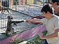 Resize of DSC00134.jpg